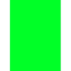 Prijskaart fluor groen 12x16cm 100st Tfr121617K